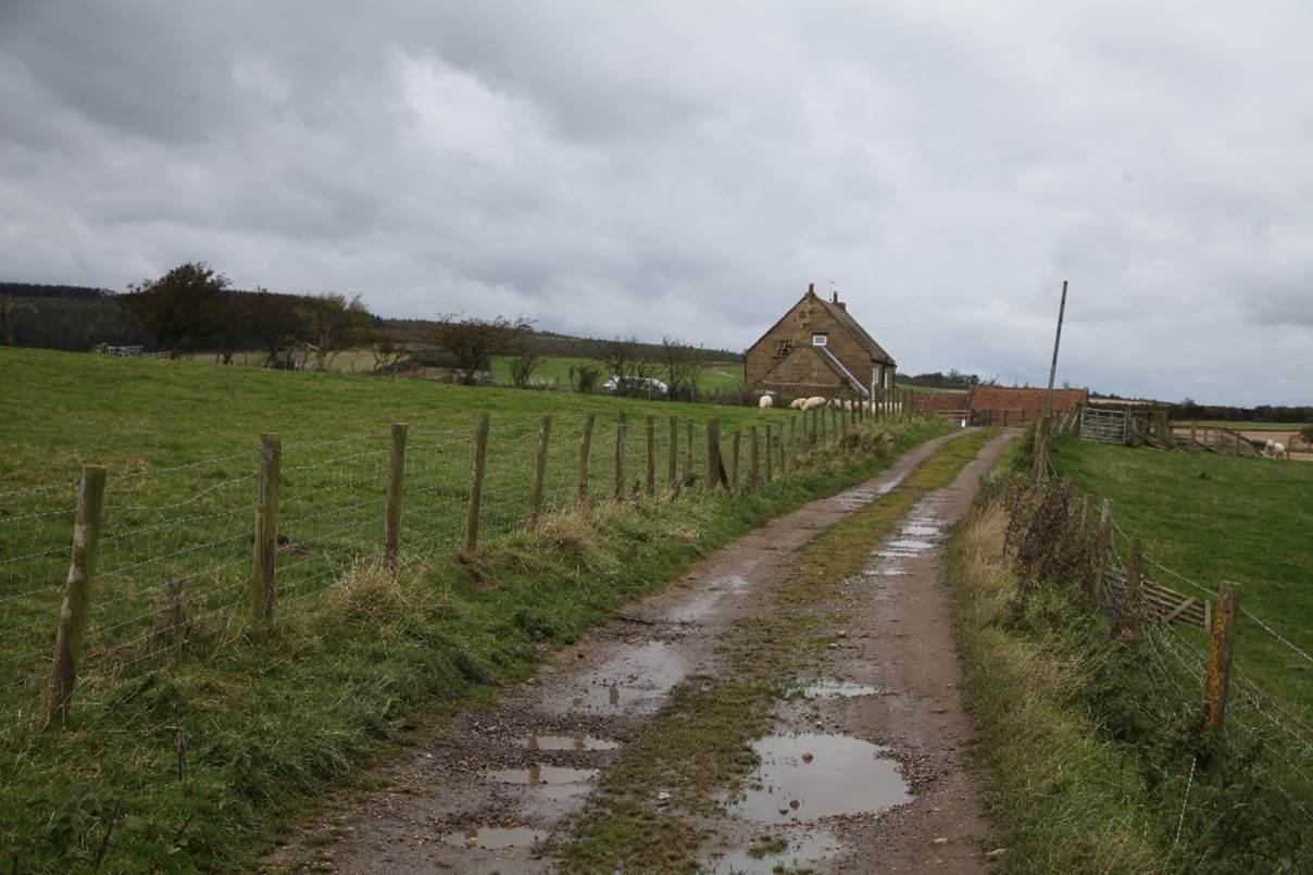 A wet road with a fence and a house in the background
Description automatically generated